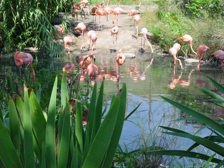 zoo